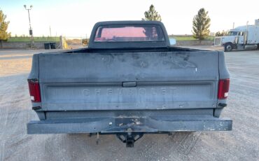 Chevrolet-Other-1978-Standard-Cab-Pickup-4