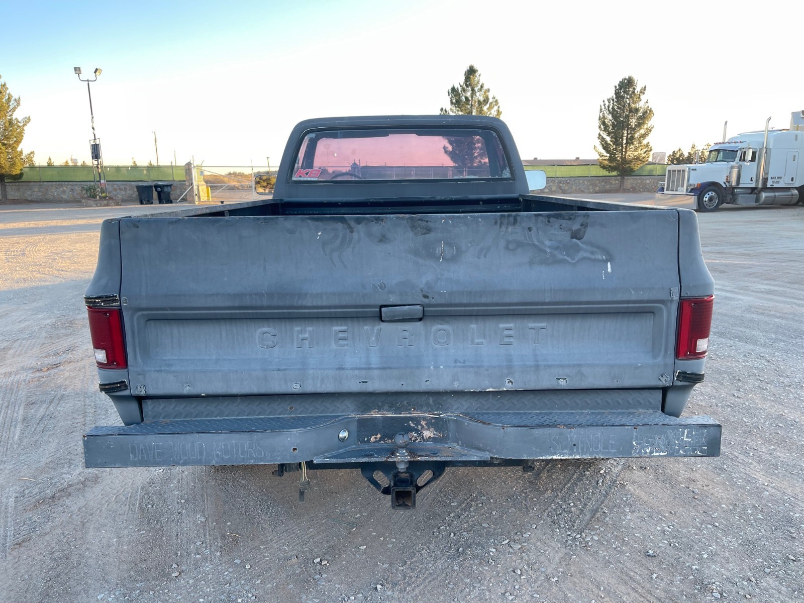 Chevrolet-Other-1978-Standard-Cab-Pickup-4