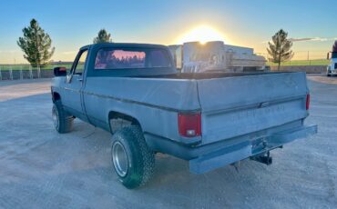 Chevrolet-Other-1978-Standard-Cab-Pickup-5
