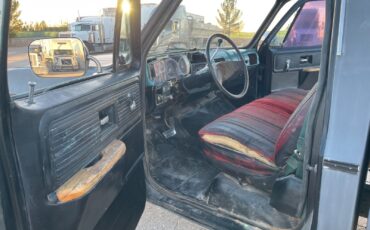 Chevrolet-Other-1978-Standard-Cab-Pickup-9