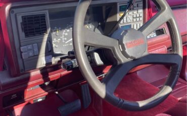 Chevrolet-Other-1994-10