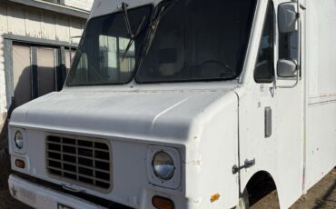 Chevrolet-Other-1994-Commercial-Vehicle-3