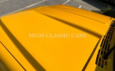 Chevrolet-Other-Pickups-1969-Pickup-Truck-13