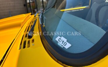 Chevrolet-Other-Pickups-1969-Pickup-Truck-14