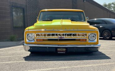 Chevrolet-Other-Pickups-1969-Pickup-Truck-16