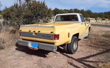 Chevrolet-Other-Pickups-1982-1