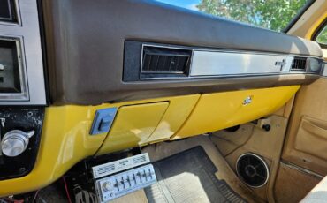 Chevrolet-Other-Pickups-1982-11