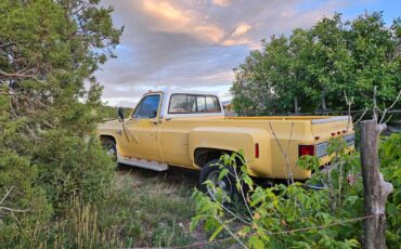 Chevrolet-Other-Pickups-1982-12