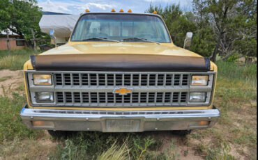 Chevrolet-Other-Pickups-1982-3