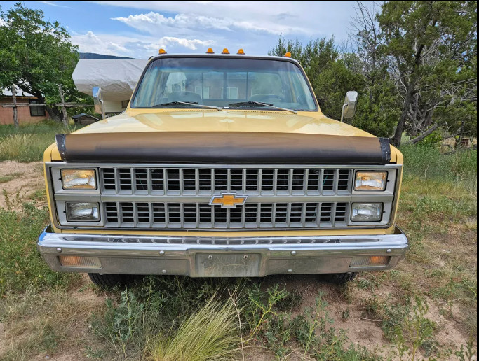 Chevrolet-Other-Pickups-1982-3
