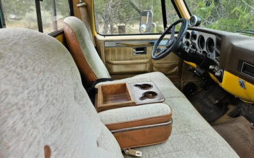 Chevrolet-Other-Pickups-1982-4