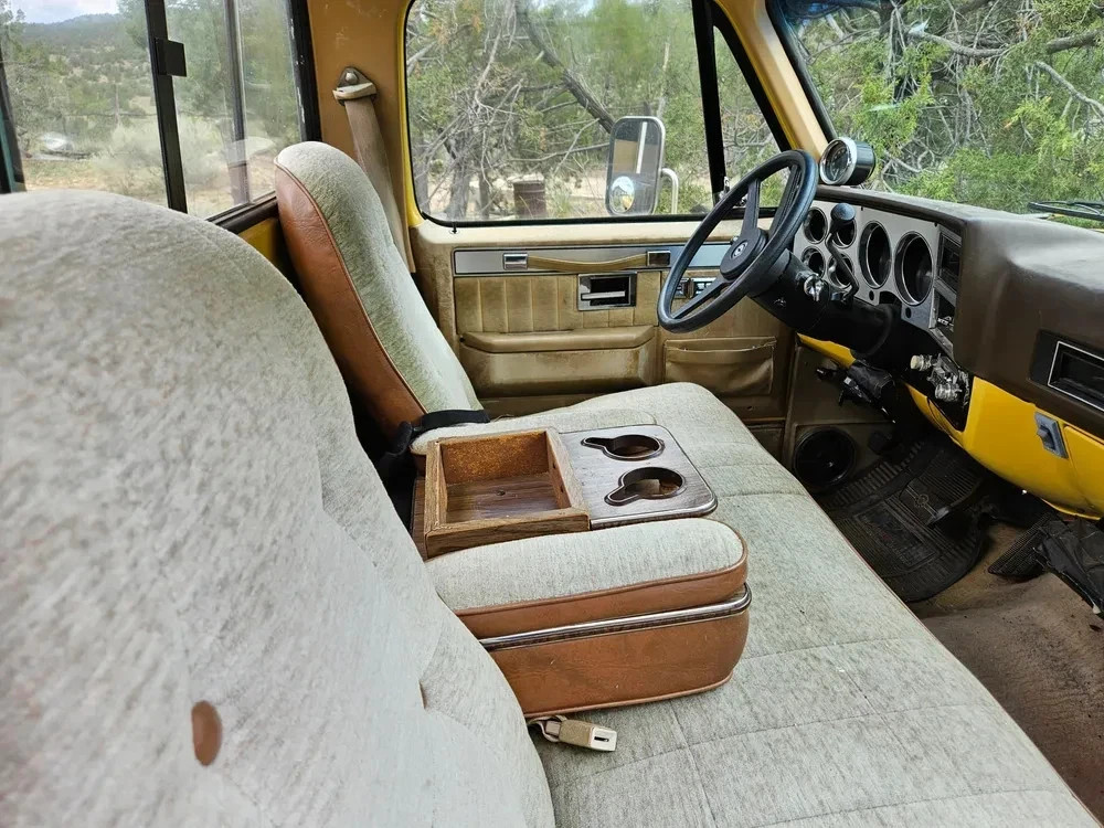 Chevrolet-Other-Pickups-1982-4