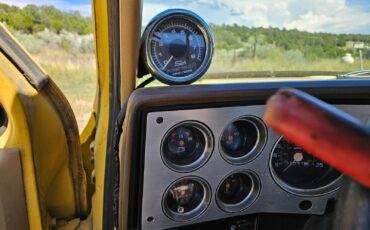 Chevrolet-Other-Pickups-1982-6