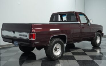 Chevrolet-Other-Pickups-1984-Pickup-Truck-10