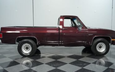 Chevrolet-Other-Pickups-1984-Pickup-Truck-11