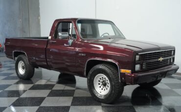 Chevrolet-Other-Pickups-1984-Pickup-Truck-12