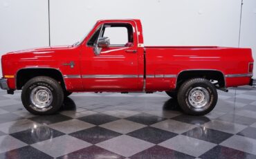 Chevrolet-Other-Pickups-1984-Pickup-Truck-2