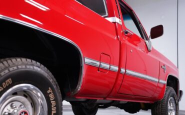 Chevrolet-Other-Pickups-1984-Pickup-Truck-22