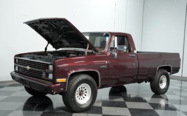 Chevrolet-Other-Pickups-1984-Pickup-Truck-24
