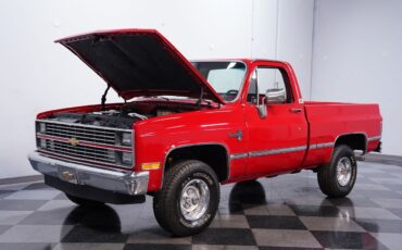 Chevrolet-Other-Pickups-1984-Pickup-Truck-25