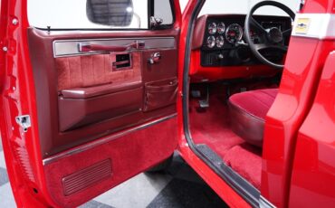 Chevrolet-Other-Pickups-1984-Pickup-Truck-28