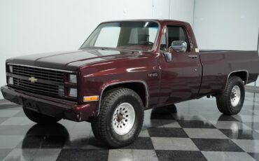 Chevrolet-Other-Pickups-1984-Pickup-Truck-5