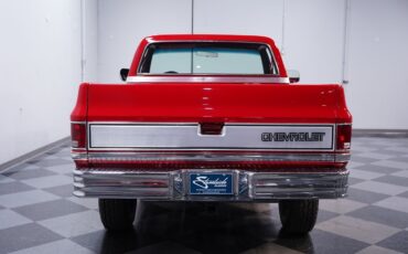 Chevrolet-Other-Pickups-1984-Pickup-Truck-9
