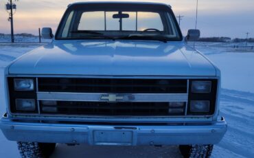 Chevrolet-Other-Pickups-1985-Standard-Cab-Pickup-1