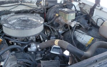 Chevrolet-Other-Pickups-1985-Standard-Cab-Pickup-11