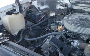 Chevrolet-Other-Pickups-1985-Standard-Cab-Pickup-12