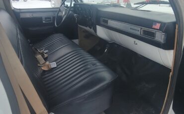 Chevrolet-Other-Pickups-1985-Standard-Cab-Pickup-19