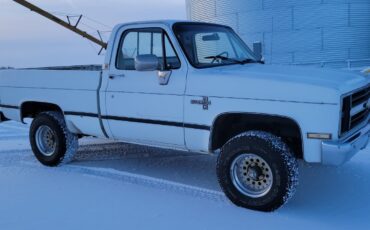 Chevrolet-Other-Pickups-1985-Standard-Cab-Pickup-2