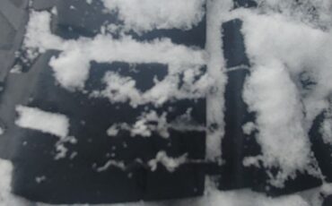 Chevrolet-Other-Pickups-1985-Standard-Cab-Pickup-21