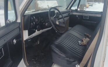 Chevrolet-Other-Pickups-1985-Standard-Cab-Pickup-24