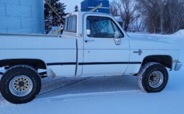 Chevrolet-Other-Pickups-1985-Standard-Cab-Pickup-3