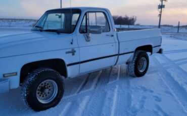 Chevrolet-Other-Pickups-1985-Standard-Cab-Pickup