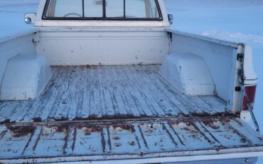 Chevrolet-Other-Pickups-1985-Standard-Cab-Pickup-4