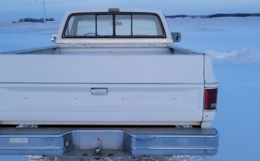 Chevrolet-Other-Pickups-1985-Standard-Cab-Pickup-5