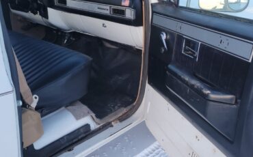 Chevrolet-Other-Pickups-1985-Standard-Cab-Pickup-6