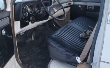 Chevrolet-Other-Pickups-1985-Standard-Cab-Pickup-7