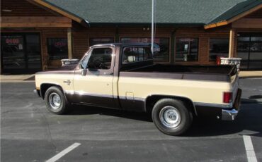 Chevrolet-Pickup-1985-TruckPickup-10