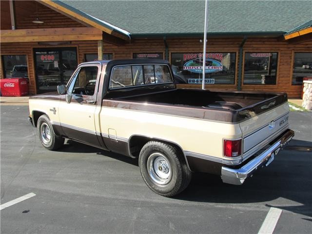 Chevrolet-Pickup-1985-TruckPickup-12