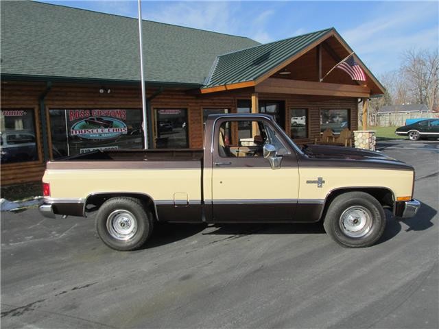 Chevrolet-Pickup-1985-TruckPickup-22
