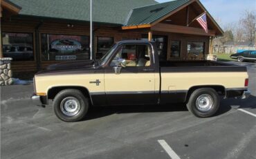 Chevrolet-Pickup-1985-TruckPickup-4