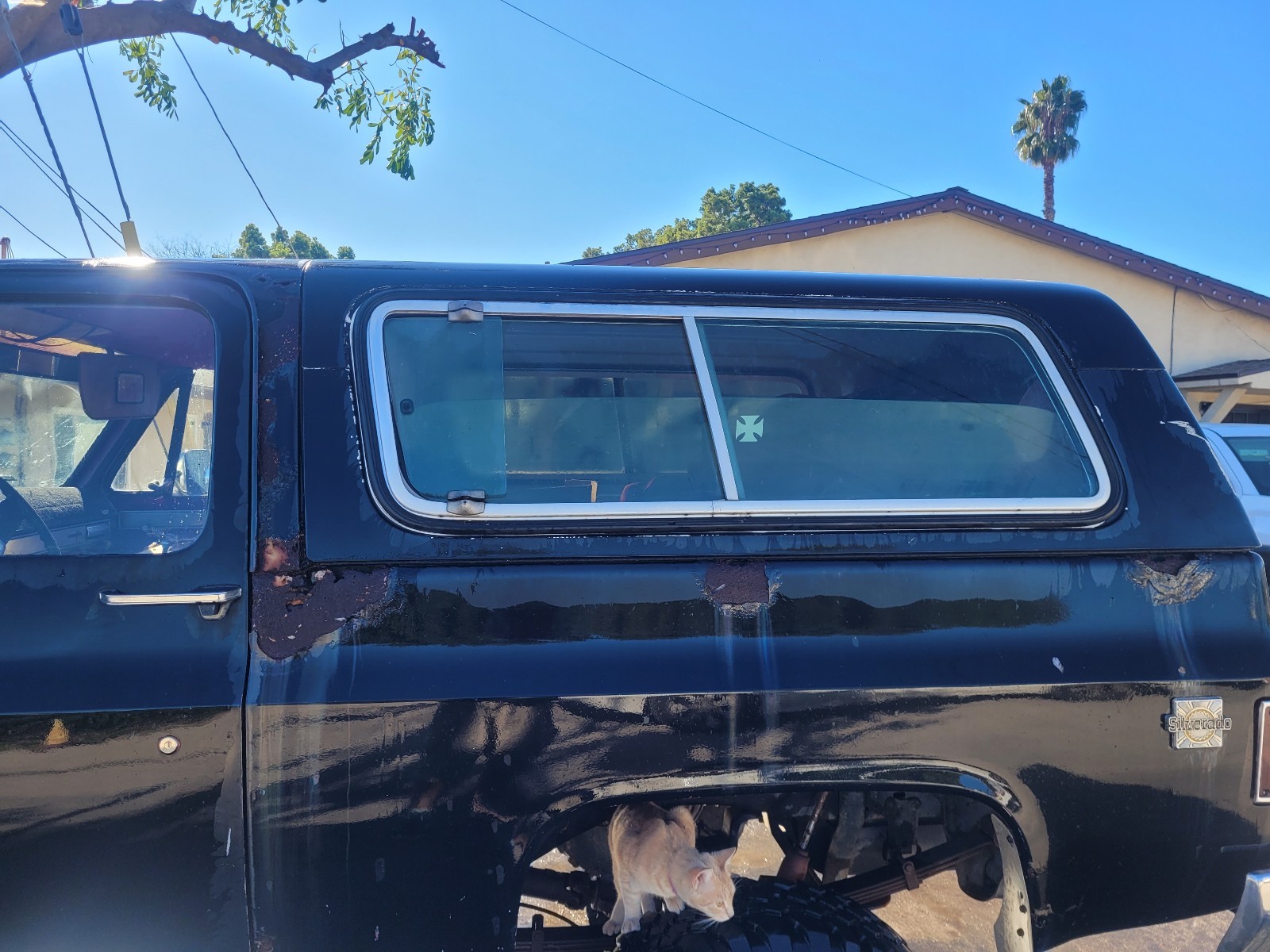 Chevrolet-Silverado-1500-1981-1