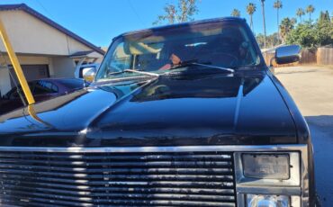 Chevrolet-Silverado-1500-1981