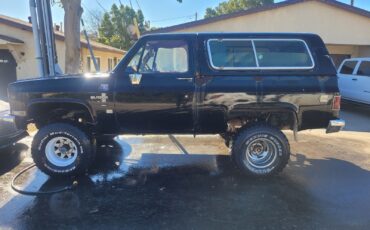 Chevrolet-Silverado-1500-1981-3