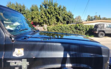 Chevrolet-Silverado-1500-1981-4