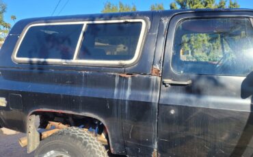 Chevrolet-Silverado-1500-1981-5