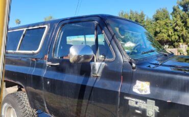 Chevrolet-Silverado-1500-1981-6